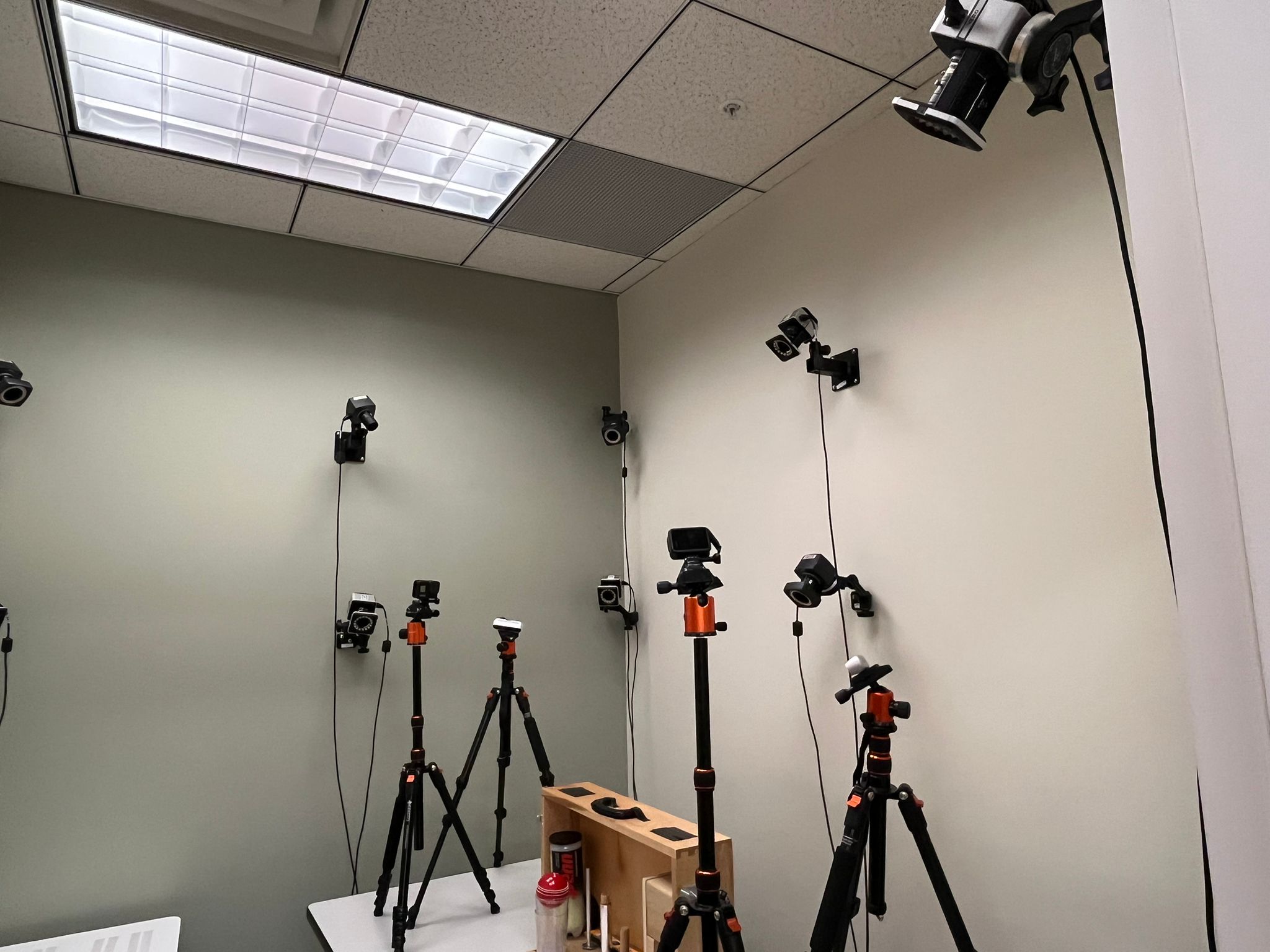 Vicon Motion Capture